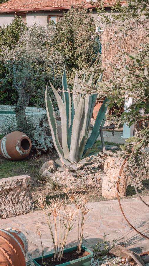Orino Suites Cedit エクステリア 写真